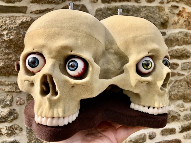 IMG_6902 Dr. No Siamese SkullFuzz